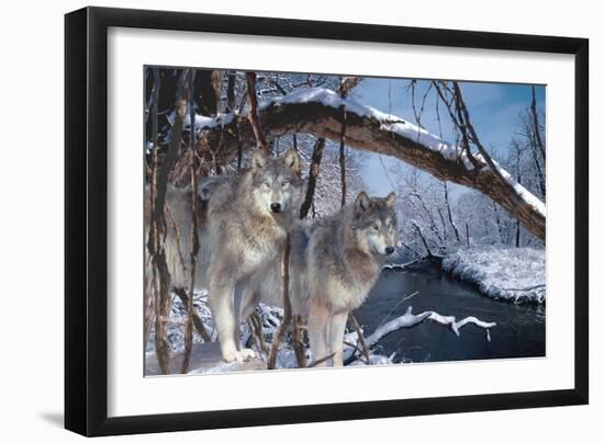 At River's Edge-Gordon Semmens-Framed Photographic Print