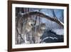 At River's Edge-Gordon Semmens-Framed Photographic Print