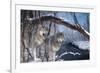 At River's Edge-Gordon Semmens-Framed Photographic Print