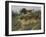 At Sandhills, Witley-Helen Allingham-Framed Giclee Print