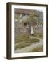 At Sandhills-Helen Allingham-Framed Giclee Print