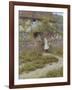 At Sandhills-Helen Allingham-Framed Giclee Print