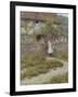 At Sandhills-Helen Allingham-Framed Giclee Print