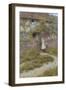 At Sandhills-Helen Allingham-Framed Giclee Print