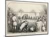 At Savigny France a Sow is Found Guilty of Killing a Child-null-Mounted Art Print