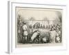 At Savigny France a Sow is Found Guilty of Killing a Child-null-Framed Art Print