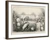 At Savigny France a Sow is Found Guilty of Killing a Child-null-Framed Art Print