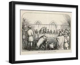 At Savigny France a Sow is Found Guilty of Killing a Child-null-Framed Art Print