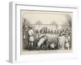 At Savigny France a Sow is Found Guilty of Killing a Child-null-Framed Art Print