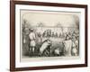 At Savigny France a Sow is Found Guilty of Killing a Child-null-Framed Art Print