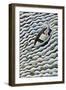 At Sea, 1989-Celia Washington-Framed Giclee Print