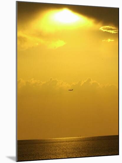 At Sunset a Commerical Jet Makes its Approach to Louis Armstrong New Orleans International Airport-null-Mounted Photographic Print