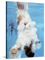 AT&T USA Diving Grand Prix, Fort Lauderdale, Florida-J. Pat Carter-Stretched Canvas