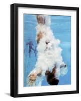 AT&T USA Diving Grand Prix, Fort Lauderdale, Florida-J. Pat Carter-Framed Photographic Print