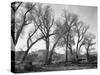 At Taos Pueblo National Historic Landmark, New Mexico, ca. 1941-1942-Ansel Adams-Stretched Canvas