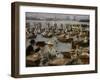 At the Alster in Hamburg, 1910-Max Liebermann-Framed Giclee Print