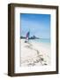 At the Beach-alex_bendea-Framed Photographic Print