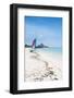 At the Beach-alex_bendea-Framed Photographic Print