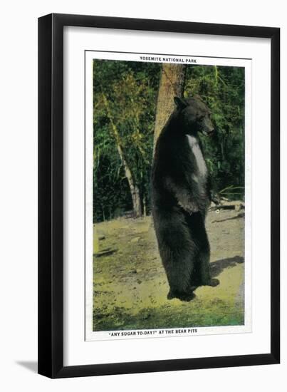 At the Bear Pits, Yosemite Valley-Lantern Press-Framed Art Print