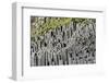 At the Black Sandy Beach of Reynisfjara, Basalt Colums-Catharina Lux-Framed Photographic Print