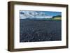 At the Black Sandy Beach of Reynisfjara-Catharina Lux-Framed Photographic Print