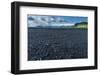 At the Black Sandy Beach of Reynisfjara-Catharina Lux-Framed Photographic Print