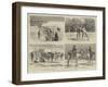 At the Camp of Exercise, Delhi, India-Frank Dadd-Framed Giclee Print