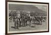 At the Cape of Good Hope, 1881, a Visit to an Ostrich Farm-null-Framed Giclee Print