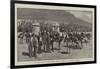 At the Cape of Good Hope, 1881, a Visit to an Ostrich Farm-null-Framed Giclee Print