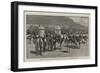 At the Cape of Good Hope, 1881, a Visit to an Ostrich Farm-null-Framed Giclee Print