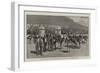 At the Cape of Good Hope, 1881, a Visit to an Ostrich Farm-null-Framed Giclee Print