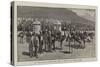 At the Cape of Good Hope, 1881, a Visit to an Ostrich Farm-null-Stretched Canvas
