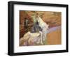 At the Circus Fernando, Rider on a White Horse, 1888-Henri de Toulouse-Lautrec-Framed Giclee Print