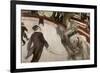 At the Cirque Fernando: Equestrienne-Henri de Toulouse-Lautrec-Framed Giclee Print