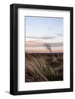 At the Coast 4-Mareike Böhmer-Framed Photographic Print