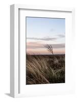 At the Coast 4-Mareike Böhmer-Framed Photographic Print