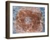 At the Core; Um Den Kern-Paul Klee-Framed Giclee Print