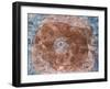 At the Core; Um Den Kern-Paul Klee-Framed Giclee Print