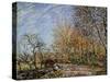 At the Edge of the Forest in Fontainebleau, 1885-Alfred Sisley-Stretched Canvas