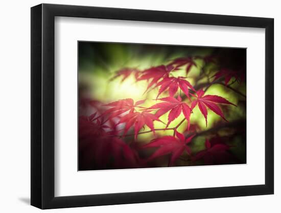 At the End of the Day-Philippe Sainte-Laudy-Framed Photographic Print