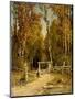 Wood Mount