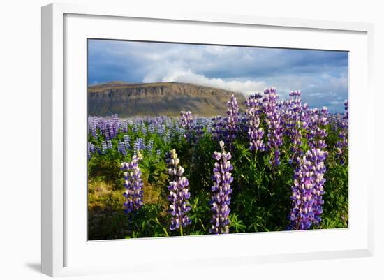 At the Hjalparfoss-Catharina Lux-Framed Photographic Print