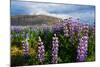 At the Hjalparfoss-Catharina Lux-Mounted Photographic Print