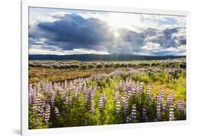 At the Hjalparfoss-Catharina Lux-Framed Photographic Print