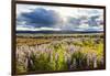 At the Hjalparfoss-Catharina Lux-Framed Photographic Print