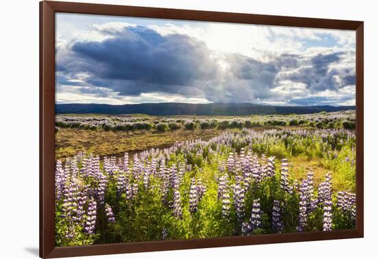 At the Hjalparfoss-Catharina Lux-Framed Photographic Print