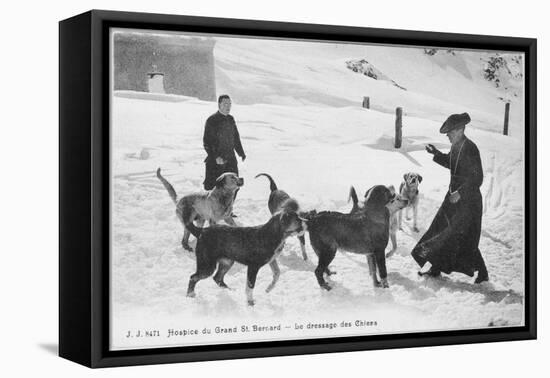 At the Hospice du Grand Saint- Bernard Dogs are Trained to Rescue Unfortunate Travellers-null-Framed Stretched Canvas