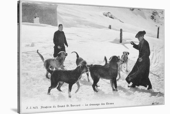 At the Hospice du Grand Saint- Bernard Dogs are Trained to Rescue Unfortunate Travellers-null-Stretched Canvas