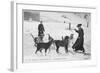 At the Hospice du Grand Saint- Bernard Dogs are Trained to Rescue Unfortunate Travellers-null-Framed Art Print