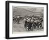 At the Military Tournament, Bluejackets of HMS Excellent at Field-Gun Exercise-Frederic De Haenen-Framed Giclee Print